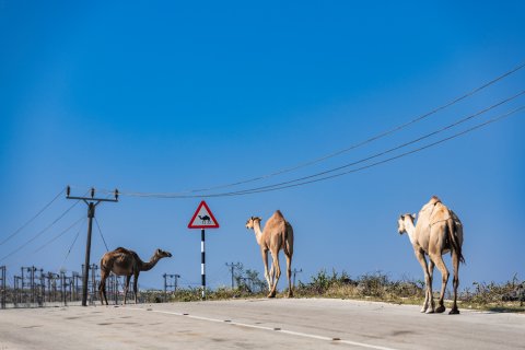 Oman