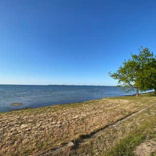 Blick auf das ruhige
                           Meer der Wismarer Bucht am Ostsee-Campingpark Zierow. Im Vordergrund verläuft eine leicht vertrocknete Rasenfläche entlang
                           der Küstenlinie, auf der rechten Seite steht ein einzelner, grüner Baum. Am Horizont ist flaches Land unter einem wolkenlosen,
                           tiefblauen Himmel zu erkennen.