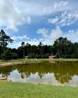 Camping Tehumardi Teich