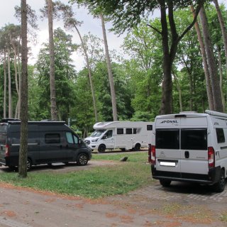 Mehrere
                           Wohnmobile und Kastenwagen-Campingbusse stehen auf schattigen Stellplätzen im Ostseecamp-Ferienpark Graal-Müritz. Die Parzellen
                           befinden sich auf einer naturbelassenen Rasenfläche inmitten eines dichten, hohen Küstenwaldes mit schlanken Baumstämmen.
                           Im Vordergrund ist ein unbefestigter Zufahrtsweg zu sehen.