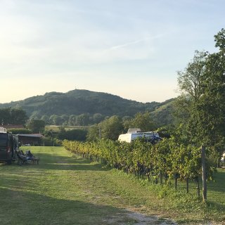 Ein breiter, grasbewachsener Weg auf einem idyllischen Campingplatz. Auf der rechten Seite zieht
                           sich eine lange Reihe grüner Weinreben in die Tiefe, hinter der ein weißes Wohnmobil mit Fahrrädern auf dem Heckträger hervorlugt.
                           Auf der linken Seite parkt ein dunkler Camper-Van, davor sitzen zwei Personen entspannt in Campingstühlen auf der Wiese. Den
                           Hintergrund bildet eine sanfte, bewaldete Hügellandschaft im warmen Licht der späten Nachmittagssonne unter einem hellen Himmel.