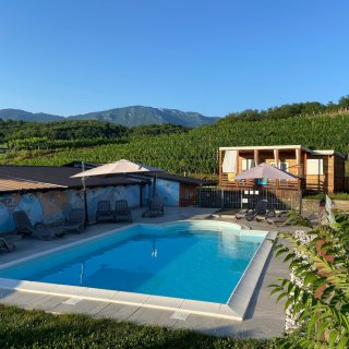 Ein rechteckiger, hellblauer Swimmingpool im Vordergrund, eingefasst von hellgrauen Bodenplatten.
                           Am Poolrand stehen mehrere dunkelgraue Sonnenliegen unter zwei aufgespannten, beigen Sonnenschirmen. Links grenzt ein flaches
                           Gebäude mit einer bunt bemalten Außenwand an den Liegebereich. Rechts auf einer leichten Anhöhe steht ein gemütliches Mobilheim
                           aus Holz mit einer kleinen, überdachten Terrasse. Direkt dahinter erstreckt sich ein weiter Hang voller grüner Weinreben,
                           der nahtlos in eine bewaldete, markante Berglandschaft unter einem strahlend blauen, wolkenlosen Himmel übergeht.