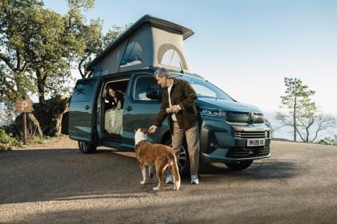 Citroen Holiday mit Hubdach