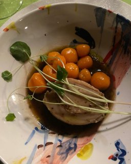 Eine bunte, mit Pinselstrichen bemalte Keramikschale
                           zeigt ein Gericht in einer dunklen, glänzenden Sauce. Neben einer hellen, ovalen Komponente liegen mehrere kleine, leuchtend
                           orangefarbene Kugeln. Ein langer, grüner Spross mit zarten Blättern liegt als Garnitur quer über dem Teller