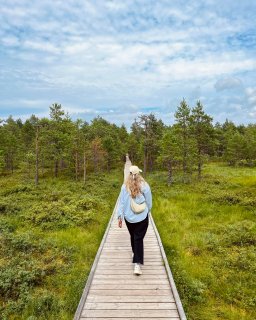 Reisebericht Baltikum Estland Laheema NP
