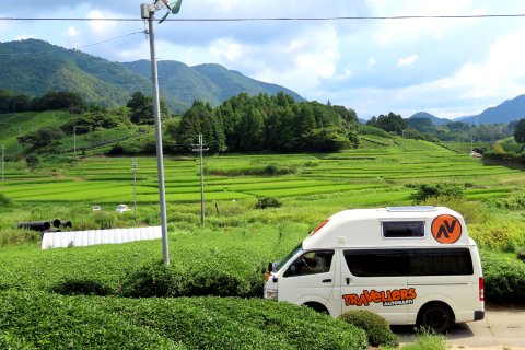 Teeplantagen
                           Japan