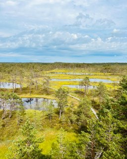 Reisebericht Baltikum Estland Laheema NP
