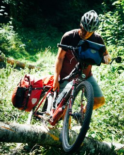 Eine Person schiebt ein bepacktes Fahrrad über einen umgestürzten
                           Baumstamm auf einem bewachsenen Waldweg. Am Fahrrad sind mehrere Gepäcktaschen befestigt.