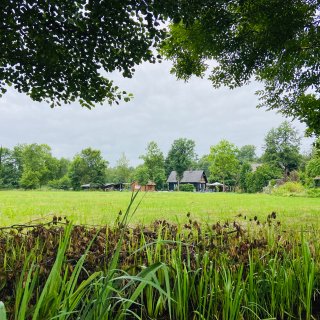 Eine weitläufige grüne Wiese erstreckt
                           sich hinter hohen Uferpflanzen. Am gegenüberliegenden Rand stehen mehrere dunkle Holzhäuser und kleinere Nebengebäude zwischen
                           Bäumen und Gärten. Über der Landschaft liegt ein bedeckter Himmel, das Bild wird oben von belaubten Ästen eingerahmt.