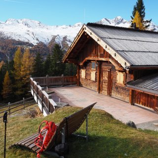Alm inmitten goldgelber Lärchen vor
                           einem weitläufigen, schneebedeckten Bergpanorama im Ötztal.