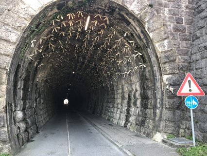 Auf dem Bild ist der historische Kostanjevica II Tunnel in Nova
                           Gorica zu sehen. Rechts im Vordergrund sieht man zudem ein Straßenschild.