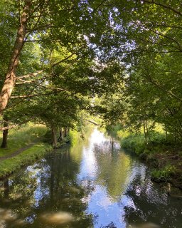 Ein schmaler Wasserlauf führt
                           unter dichtem grünem Blätterdach durch den Spreewald. Sonnenlicht fällt durch die Baumkronen und spiegelt sich auf der Wasseroberfläche;
                           an beiden Ufern wachsen Gräser, Sträucher und Bäume.