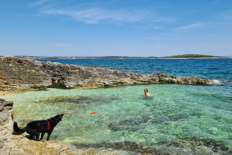 Campen mit Hund an der kroatischen Adria