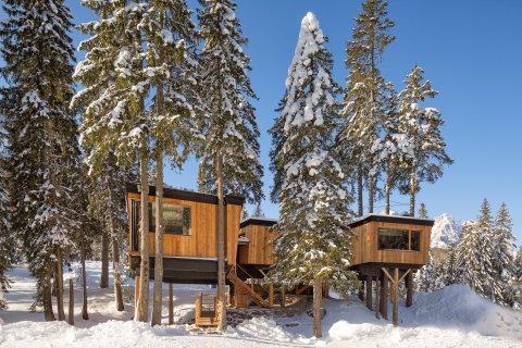 Luxus Baumhäuser im © Caravan Park Sexten 