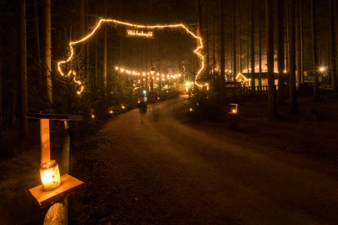 Waldweihnacht beim Baumhotel ©Baumkronenweg