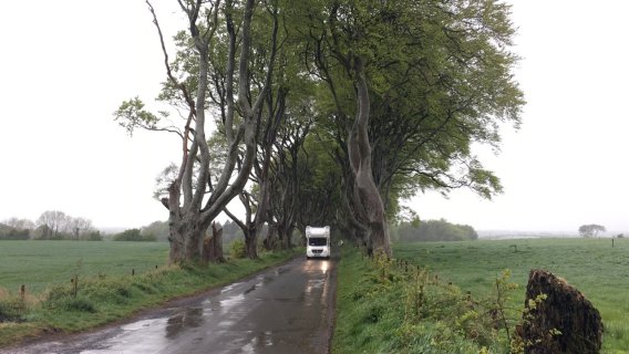 Die Darke Hedges
