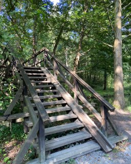 Eine steile Holzbrücke
                           mit schmalen Stufen und beidseitigem Geländer führt über einen kleinen, von dichtem Grün umgebenen Wasserlauf. Sonnenlicht
                           fällt durch die Baumkronen auf die Brücke und den Waldboden.