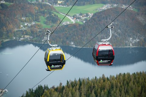 Mit der Zwölferhorn-Seilbahn geht es bequem
                           in die Bergwelt.