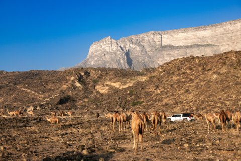Reisebericht Oman
                           Al Fazajah Beach im HIntergrudn das Jabal al Qamar Gebrirge