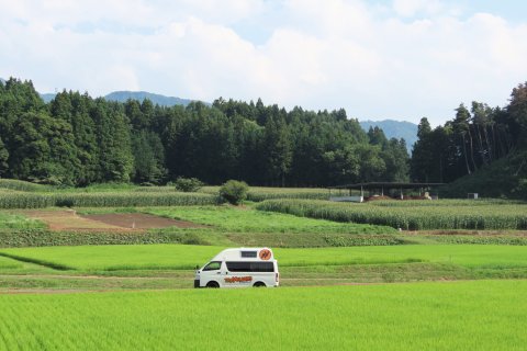 Reisplantagen
                           Japan
