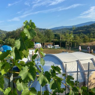 Im linken Vordergrund ranken sich leuchtend
                           grüne Weinblätter an einem Drahtzaun empor. Dahinter erstreckt sich die sonnige Wiese des Campingplatzes. Ein großes, hellgraues
                           Tunnelzelt fällt auf der rechten Seite besonders auf. Weiter hinten stehen weitere, teils blaue Zelte und geparkte Autos.
                           Zwei Personen spazieren im rechten Hintergrund über das Gelände. Den Horizont bilden weite, bewaldete Hügel und eine Bergkette
                           unter einem strahlend blauen, leicht bewölkten Himmel.