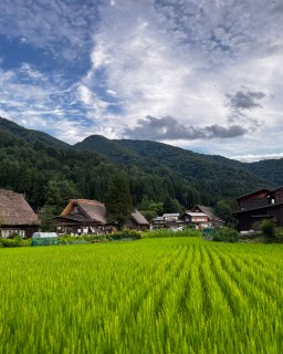 Shirakawa Go