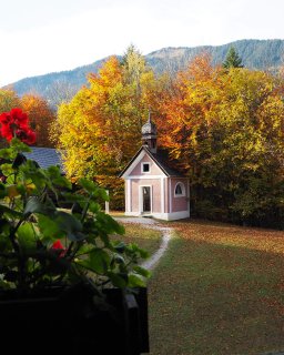 Kleine rosa Kapelle mit Holztür vor dichtem, bunt
                           gefärbtem Herbstwald.