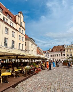 Reisebericht Baltikum Tallin Rathausplatz