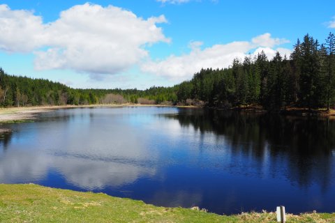 Teich nahe Tanner Moor