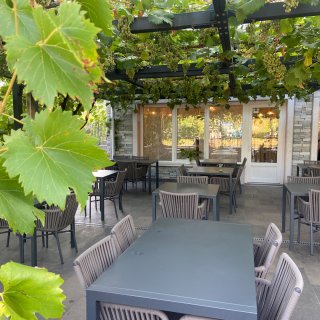 Ein genauerer Blick auf die Restaurantterrasse. Im linken Vordergrund ragt ein großes,
                           grünes Weinblatt unscharf ins Bild. Über den modernen, dunkelgrauen Tischen und Stühlen spannt sich eine dunkle Metallpergola,
                           an der unzählige Bündel grüner, noch unreifer Trauben herabhängen. Im Hintergrund befindet sich das Hauptgebäude mit einer
                           hellgrauen Steinwand und großen, weißen Glastüren, durch die ein warmes, einladendes Licht von drinnen nach draußen scheint.