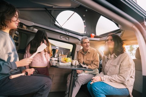 Citroen Holiday