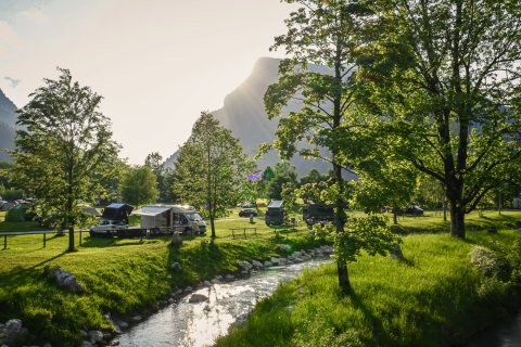 Campingbusse zwischen Bäumen am Bach mit grünen Wiesen und strahlendem Sonnenschein