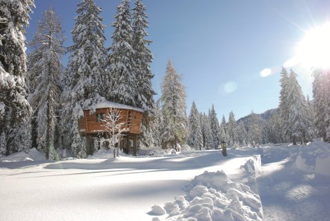 Luxus Baumhäuser im © Caravan Park
                           Sexten 