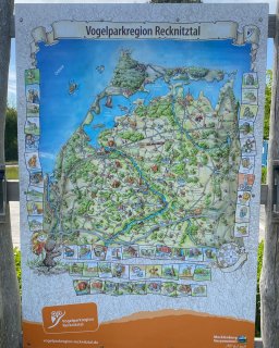 Eine große,
                           farbenfroh illustrierte Übersichtskarte der „Vogelparkregion Recknitztal“ auf einer Holzaufstellung im Freien. Die gezeichnete
                           Landkarte zeigt die Region zwischen Rostock, Stralsund und der Ostsee mit Flüssen, Orten wie Marlow und Ribnitz-Damgarten
                           sowie zahlreichen kleinen Symbolen für Ausflugsziele. Am Rand sind kleine Comic-Zeichnungen und Fotos von Sehenswürdigkeiten
                           abgebildet.
