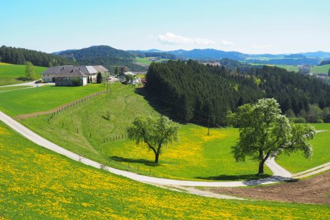 Oberösterreich Mühlviertel