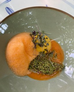 Eine grüne, tiefe Schale, in der ein raffiniertes Gericht
                           kunstvoll angerichtet ist. Es besteht aus leuchtend orangem Schaum, einem gelben Püree-Tupfer, einem mit gehackten grünen
                           Kernen oder Kräutern ummantelten Element und einer orangefarbenen Sauce, filigran garniert mit frischen Microgreens.