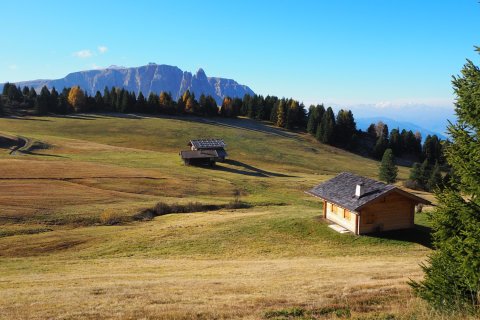 Südtirol Landschaft