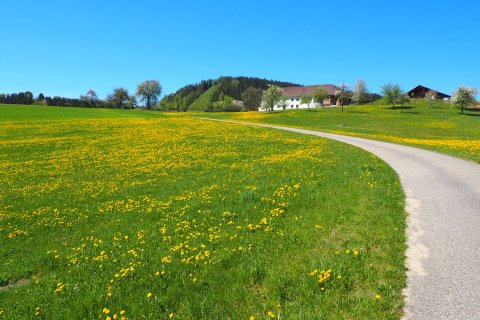 Oberösterreich Mühlviertel