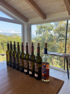 Auf dem bild sind 9 Weinflaschen zu sehen, die auf einem Holztisch stehen.
                           Links neben den Weinflaschen ist ein Weinglas mit etwas eingefülltem Rotwein. Der Hintergrund ist eine Fensterwand mit Ausblick
                           auf den Weld und Bergen.