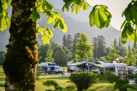 Campingfahrzeuge auf dem großen Stellplatz in saftig grüner Kulisse im Sonnenuntergang