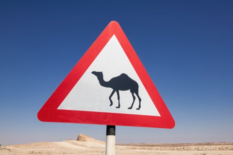 Reisebericht Oman bei Salalah