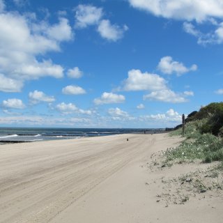 Ein weiter Blick entlang des hellen, feinen Sandstrandes in Graal-Müritz unter einem
                           strahlend blauen Himmel mit weißen, bauschigen Schönwetterwolken. Auf der rechten Seite zieht sich eine mit Dünengras bewachsene
                           Böschung entlang, während im ruhigen Meer auf der linken Seite die typischen hölzernen Buhnenreihen im Wasser zu sehen sind.