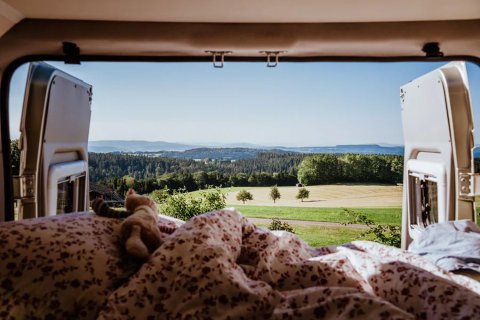 ausblick Campervan am Land