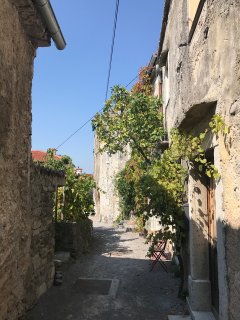 Das Bild zeigt eine alte, malerische, schmale Gasse in
                           Štanjel in Slowenien. Die Bauweise ist typisch mediterran mit alten Steinmauern und sichtbaren Holzelementen.