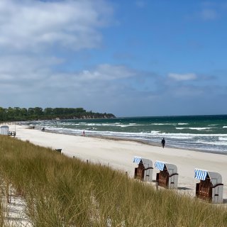 Ein breiter, weißer Sandstrand an der Ostseeküste.
                           Im Vordergrund wächst Dünengras, auf dem Strand stehen drei weiß-blau gestreifte Strandkörbe. Spaziergänger laufen am windigen
                           Ufer entlang, während das Meer weiße Schaumkronen bildet. Am Horizont ist eine bewaldete Steilküste zu sehen.