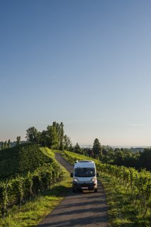 Wohnmobil in den Weinbergen