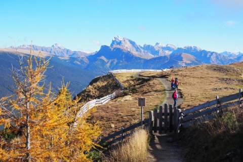 Südtirol Bergen