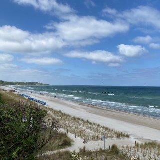 Ein weiter Blick
                           aus leicht erhöhter Perspektive auf den langen Sandstrand des Ostseebads Rerik. Im Vordergrund wächst spärliches Dünengras
                           im Sand, dahinter erstreckt sich der helle Sandstrand mit einer Reihe blau-weißer Strandkörbe. Das grün-blaue Meer bricht
                           sich in sanften Wellen am Ufer unter einem leicht bewölkten Sommerhimmel.