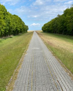 Ein schnurgerader, mit Pflastersteinen befestigter Fahrradweg, der auf der Krone eines Deichs verläuft. Der Weg führt
                           direkt auf den Horizont zu und wird links und rechts von abfallenden, grünen Grasböschungen sowie dichten, grünen Baumreihen
                           gesäumt. Am Ende des Weges ist ein weiter, leicht bewölkter Himmel sichtbar.