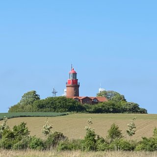 Der Buker Leuchtturm in Bastorf auf einer
                           Anhöhe. Der runde Turm aus rotem Backstein hat eine leuchtend rote Laterne und ist von grünen Bäumen und Büschen umgeben.
                           Im Vordergrund erstrecken sich landwirtschaftliche Felder und eine Wiese mit vereinzelten jungen Bäumen unter einem klaren,
                           hellblauen Himmel.